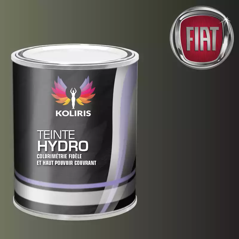 Peinture voiture hydro Fiat