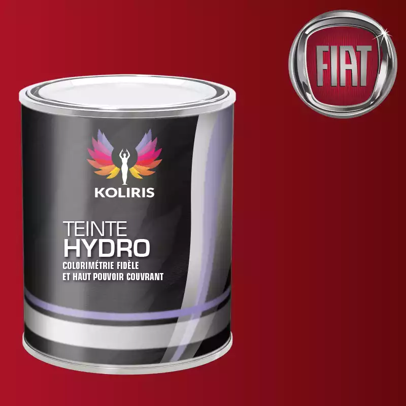 Peinture voiture hydro Fiat