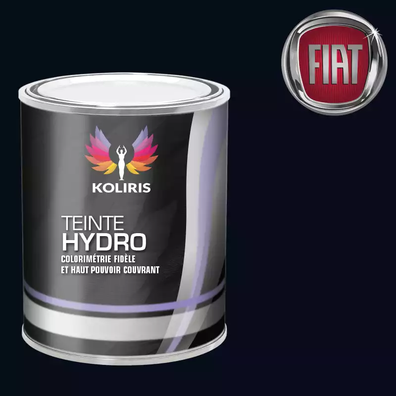 Peinture voiture hydro Fiat