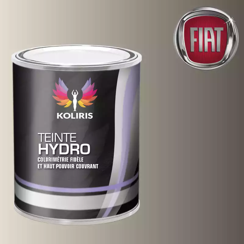 Peinture voiture hydro Fiat