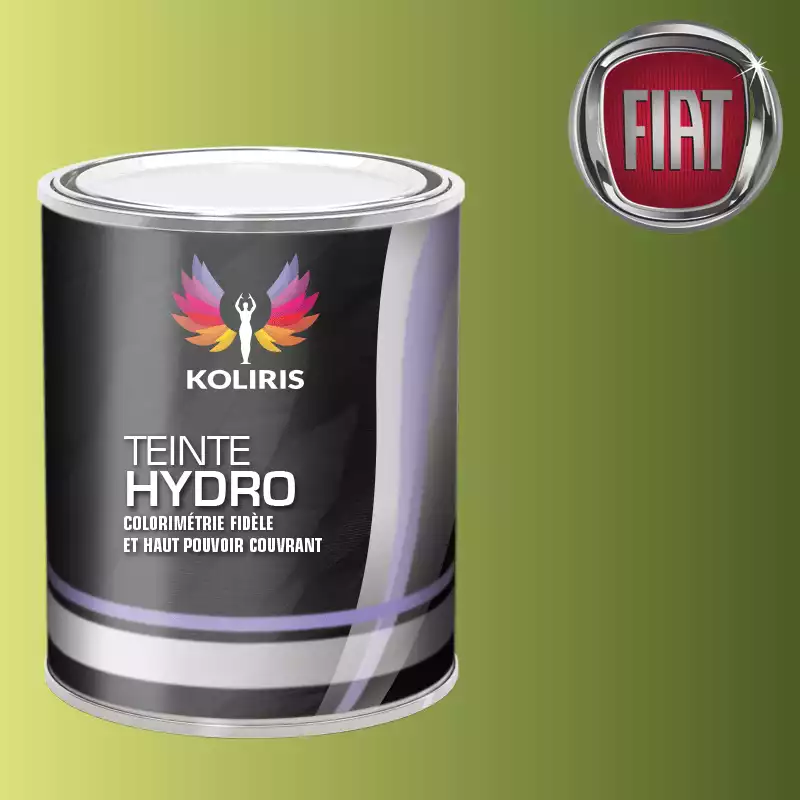 Peinture voiture hydro Fiat