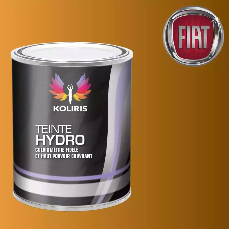 Peinture voiture hydro Fiat