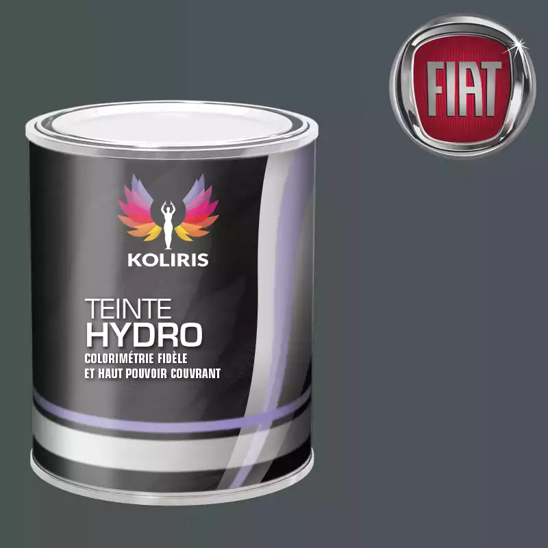 Peinture voiture hydro Fiat