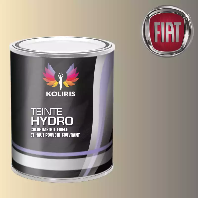 Peinture voiture hydro Fiat