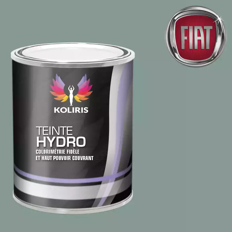 Peinture voiture hydro Fiat