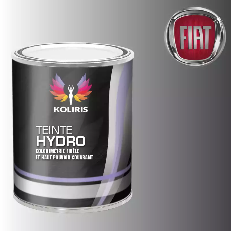 Peinture voiture hydro Fiat