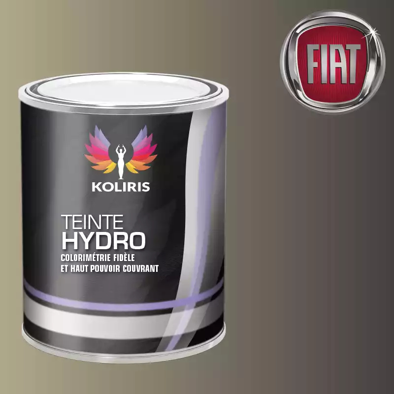 Peinture voiture hydro Fiat