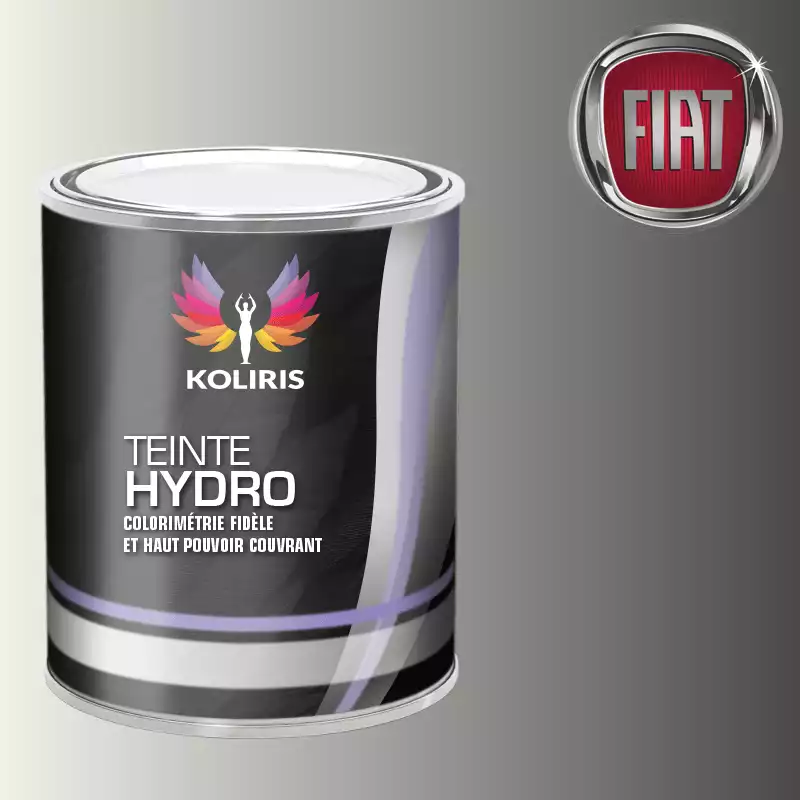 Peinture voiture hydro Fiat