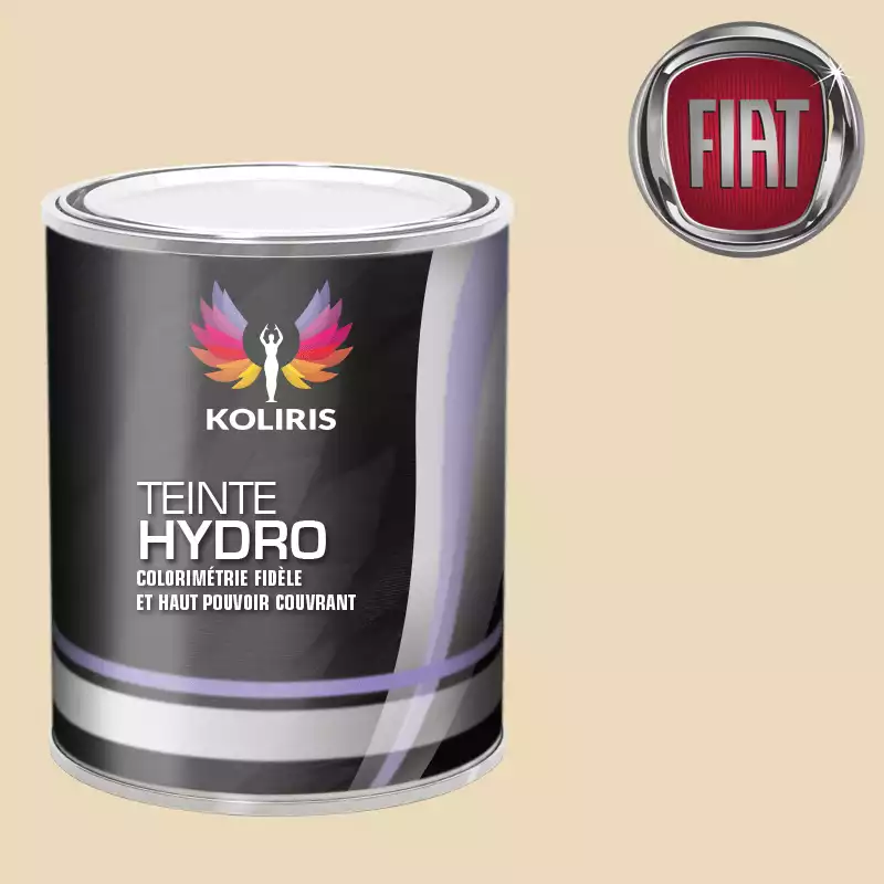 Peinture voiture hydro Fiat