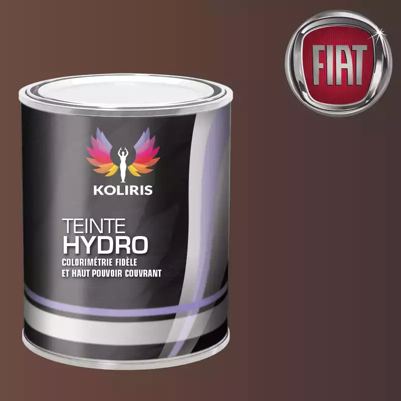 Peinture voiture hydro Fiat