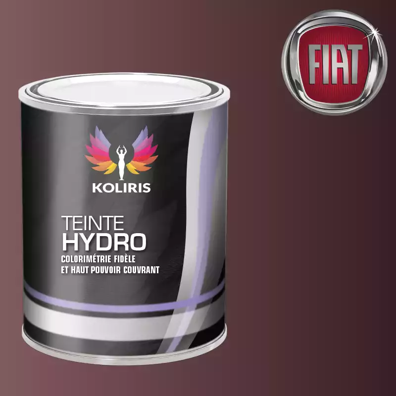 Peinture voiture hydro Fiat