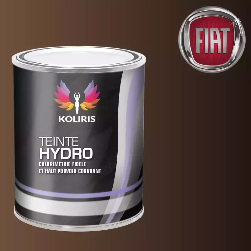 Peinture voiture hydro Fiat