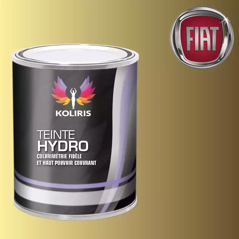 Peinture voiture hydro Fiat