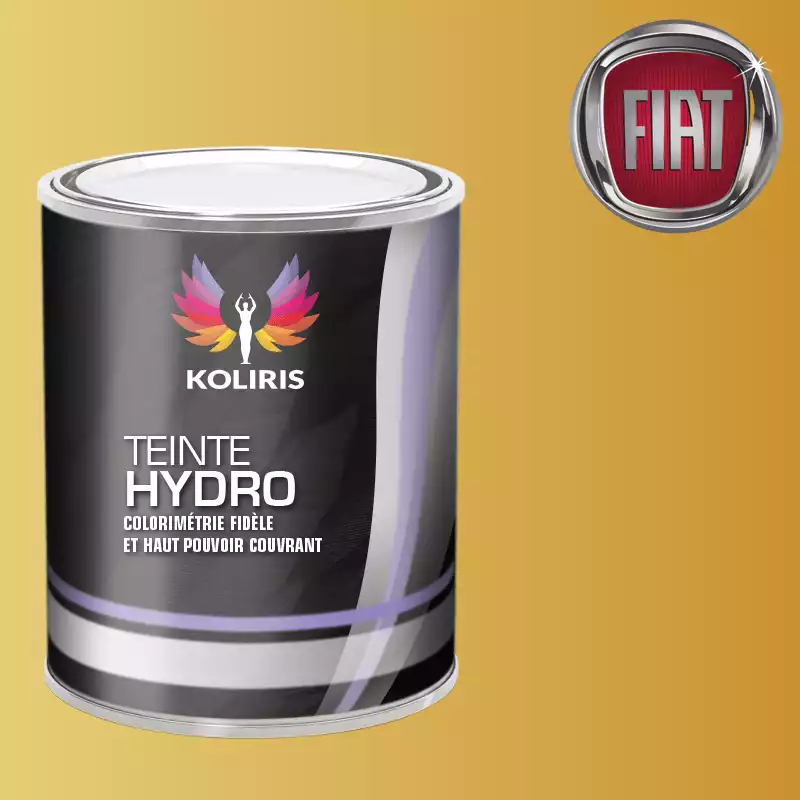 Peinture voiture hydro Fiat