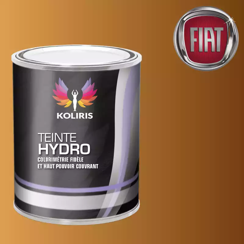 Peinture voiture hydro Fiat