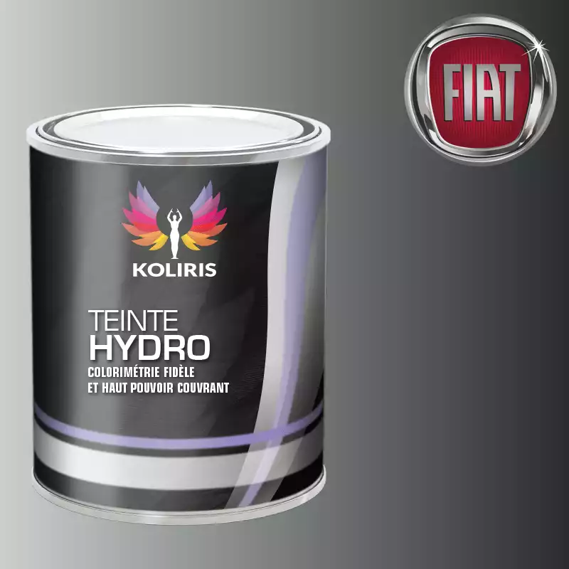 Peinture voiture hydro Fiat