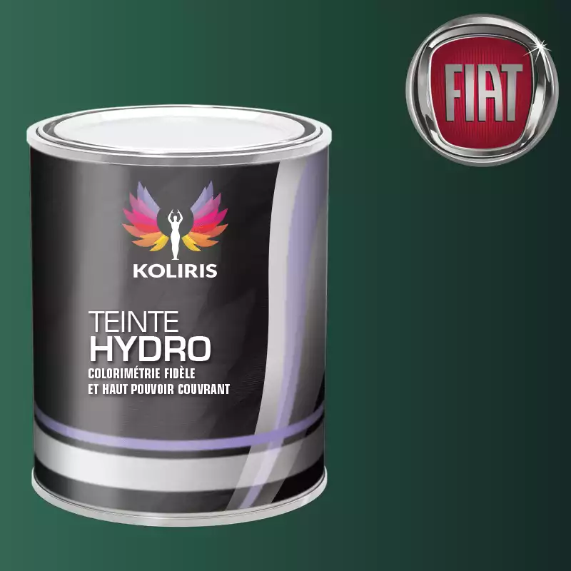 Peinture voiture hydro Fiat