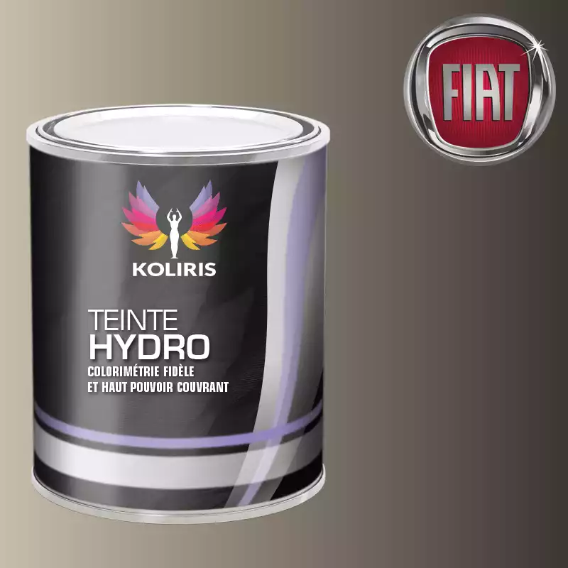 Peinture voiture hydro Fiat