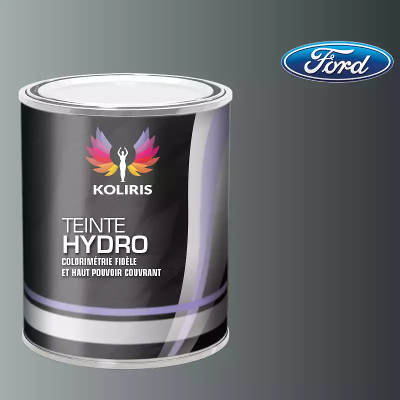 Peinture voiture hydro Ford