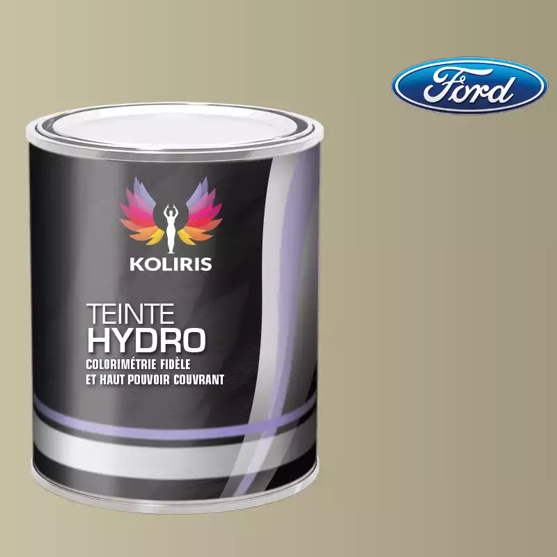 Peinture voiture hydro Ford