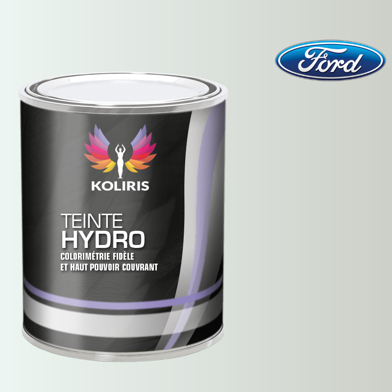 Peinture voiture hydro Ford