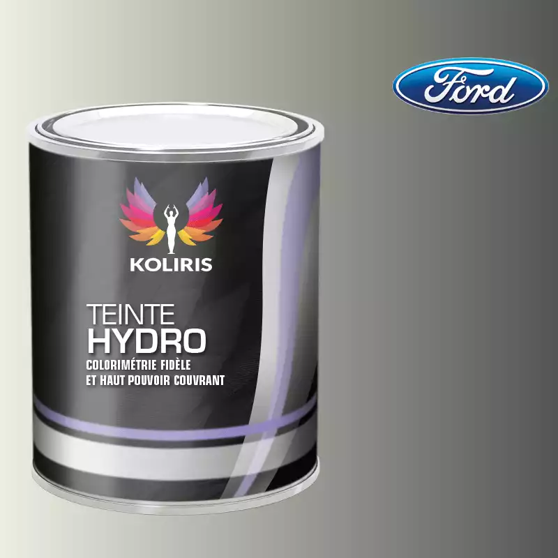 Peinture voiture hydro Ford