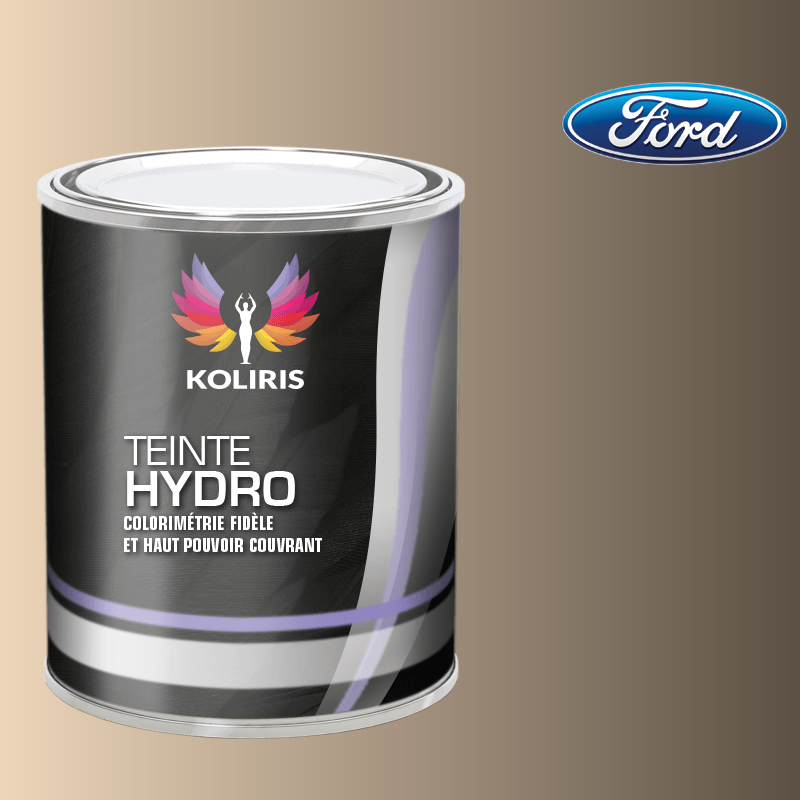 Peinture voiture hydro Ford