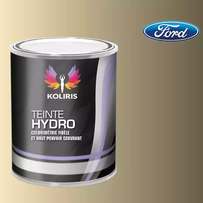 Peinture voiture hydro Ford