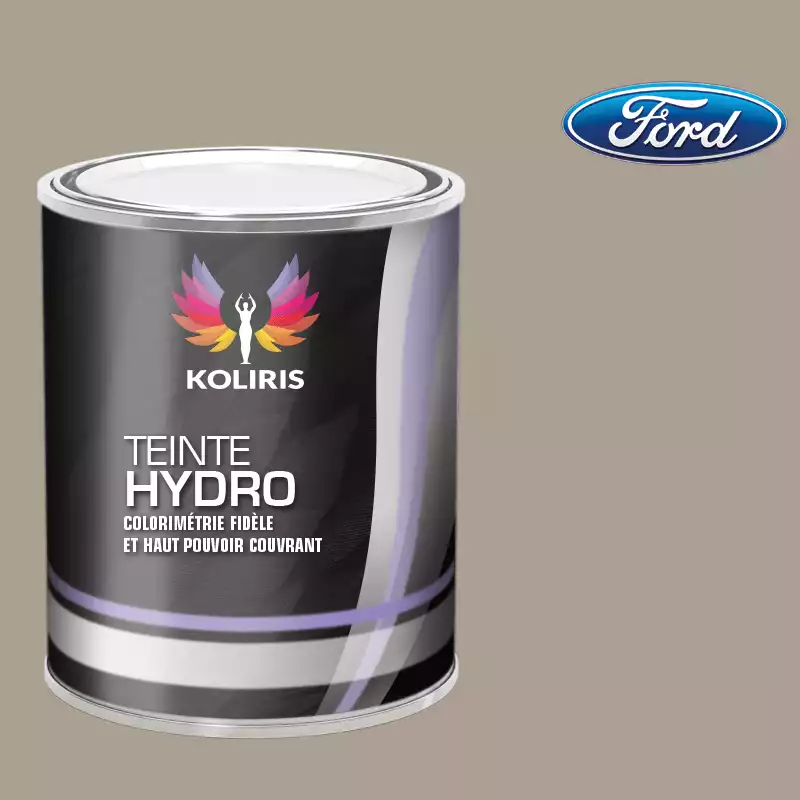 Peinture voiture hydro Ford