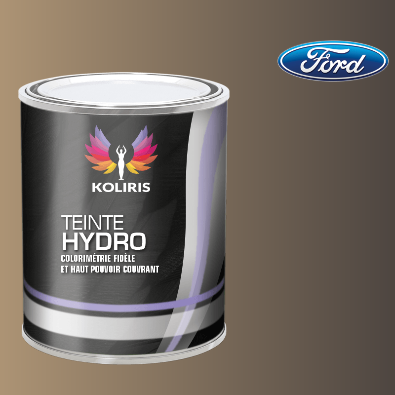 Peinture voiture hydro Ford