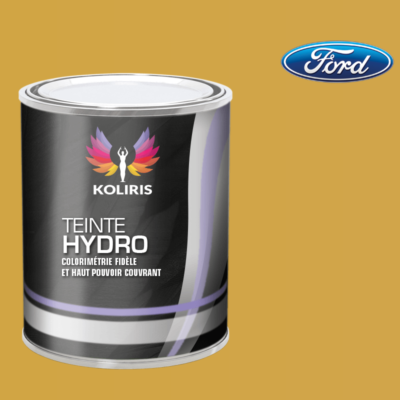 Peinture voiture hydro Ford