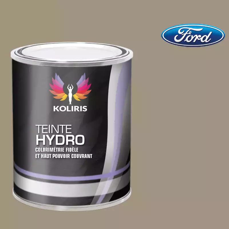 Peinture voiture hydro Ford