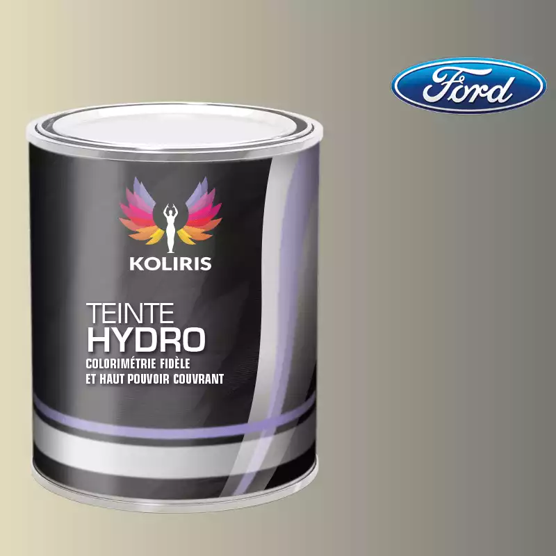 Peinture voiture hydro Ford