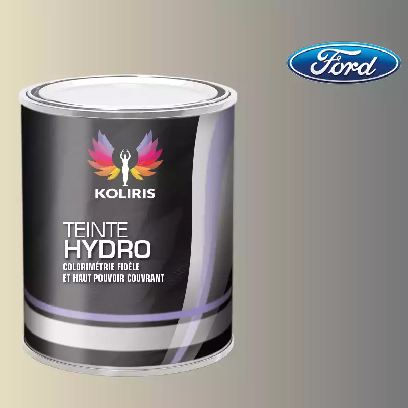 Peinture voiture hydro Ford