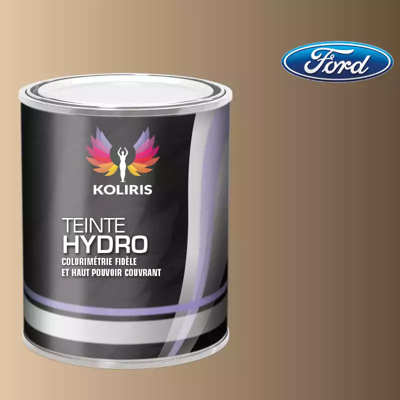 Peinture voiture hydro Ford