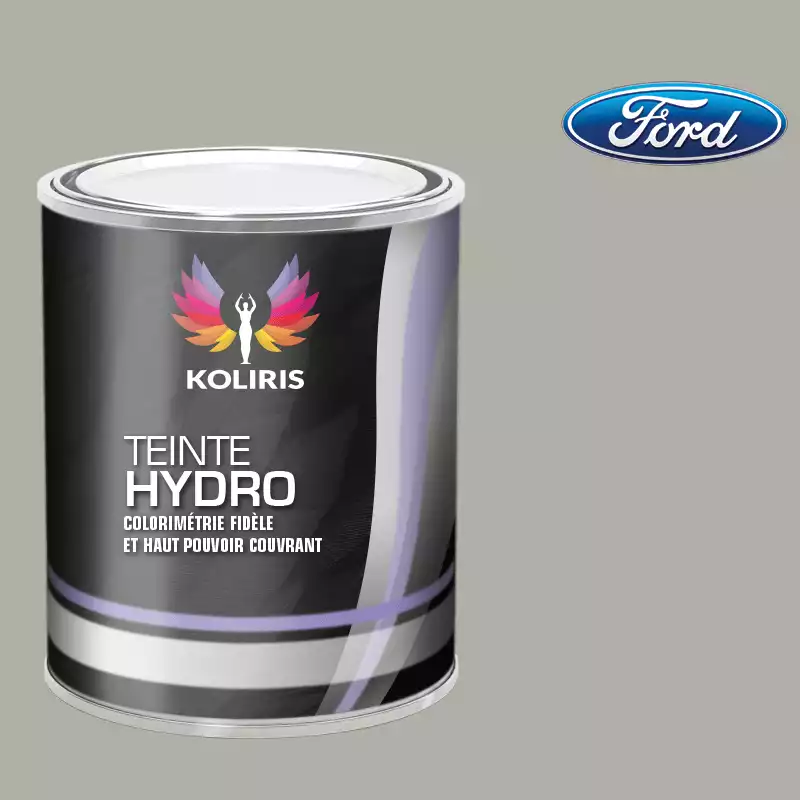 Peinture voiture hydro Ford