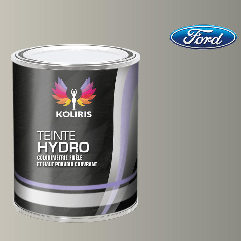 Peinture voiture hydro Ford