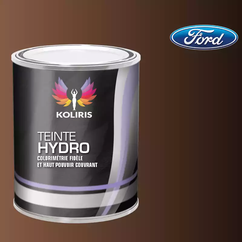 Peinture voiture hydro Ford