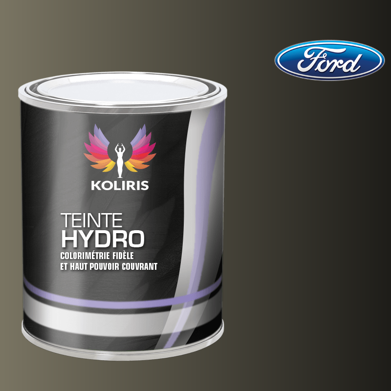 Peinture voiture hydro Ford