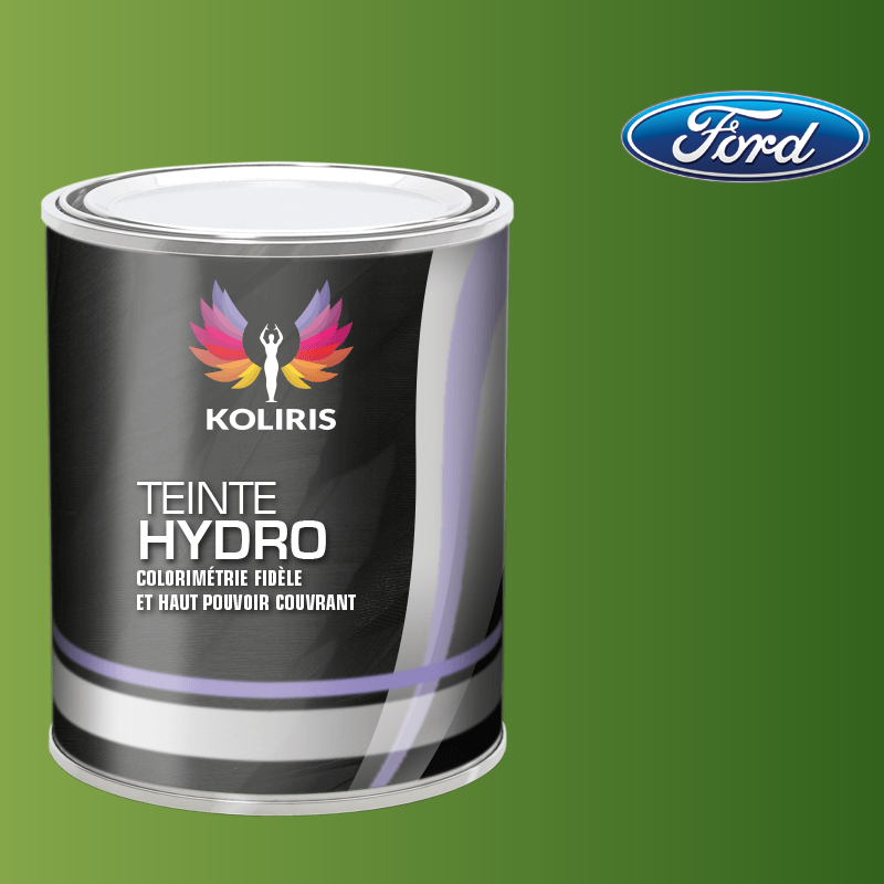 Peinture voiture hydro Ford