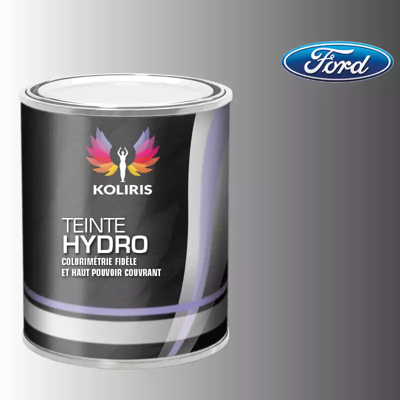 Peinture voiture hydro Ford