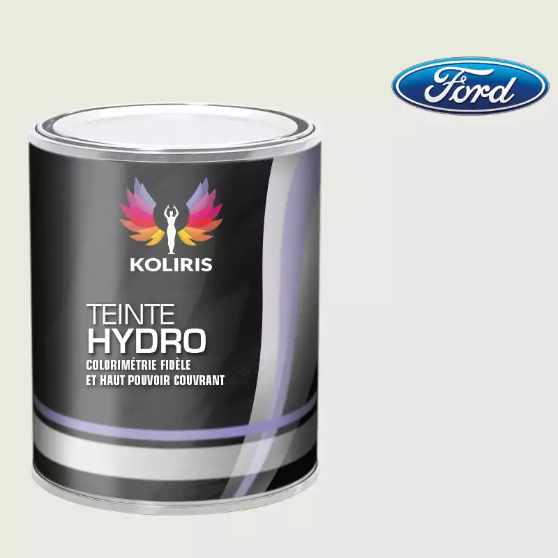 Peinture voiture hydro Ford