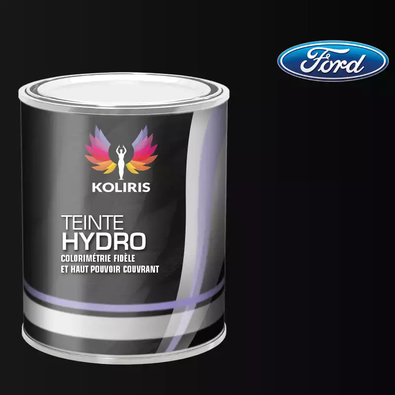 Peinture voiture hydro Ford