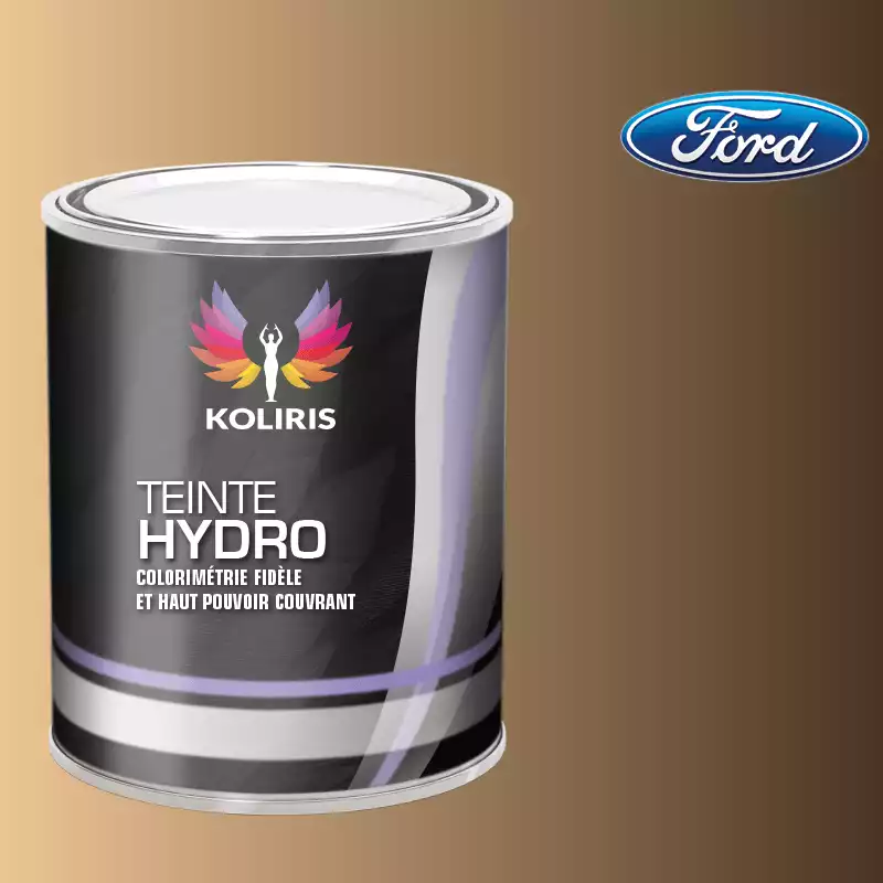 Peinture voiture hydro Ford