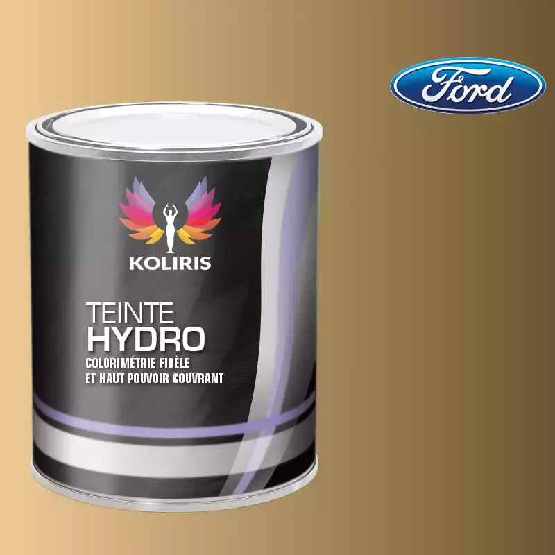 Peinture voiture hydro Ford