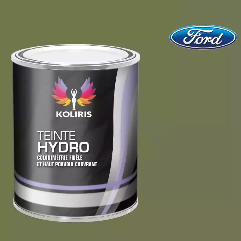 Peinture voiture hydro Ford