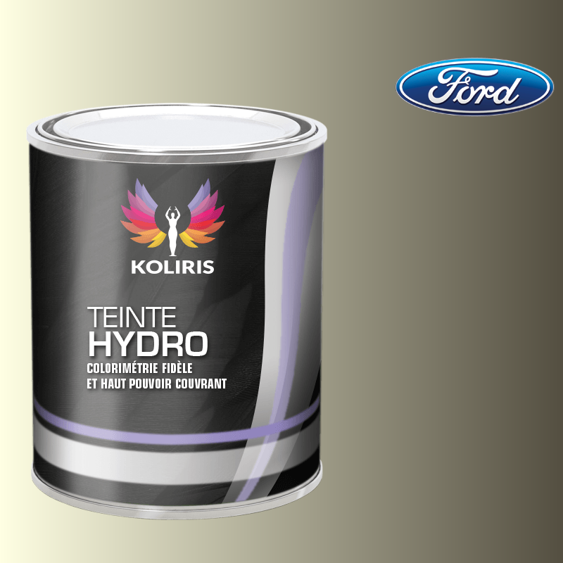 Peinture voiture hydro Ford