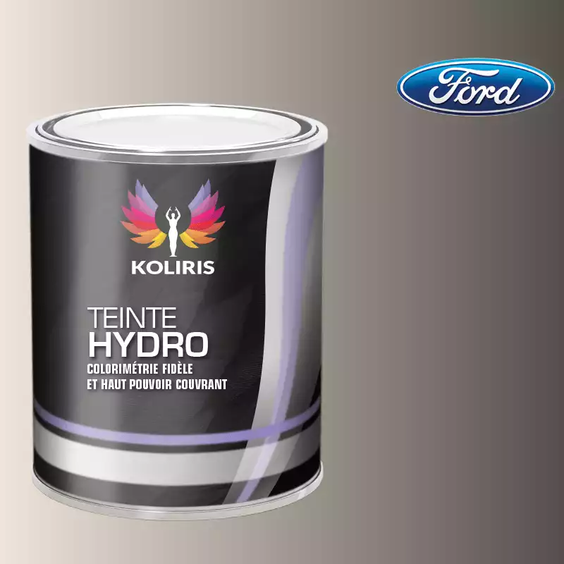 Peinture voiture hydro Ford