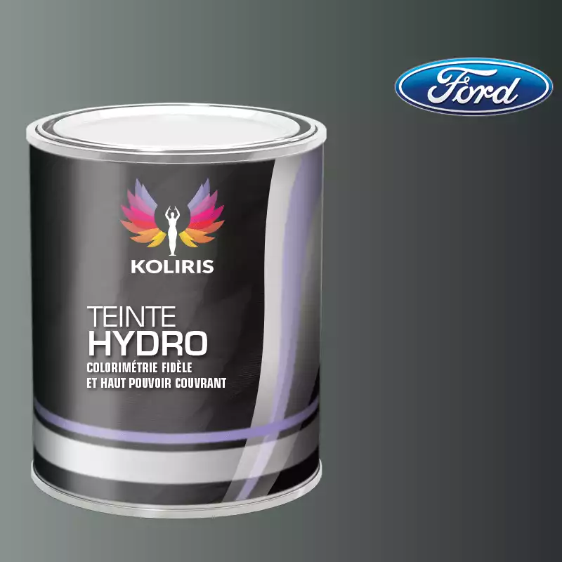 Peinture voiture hydro Ford