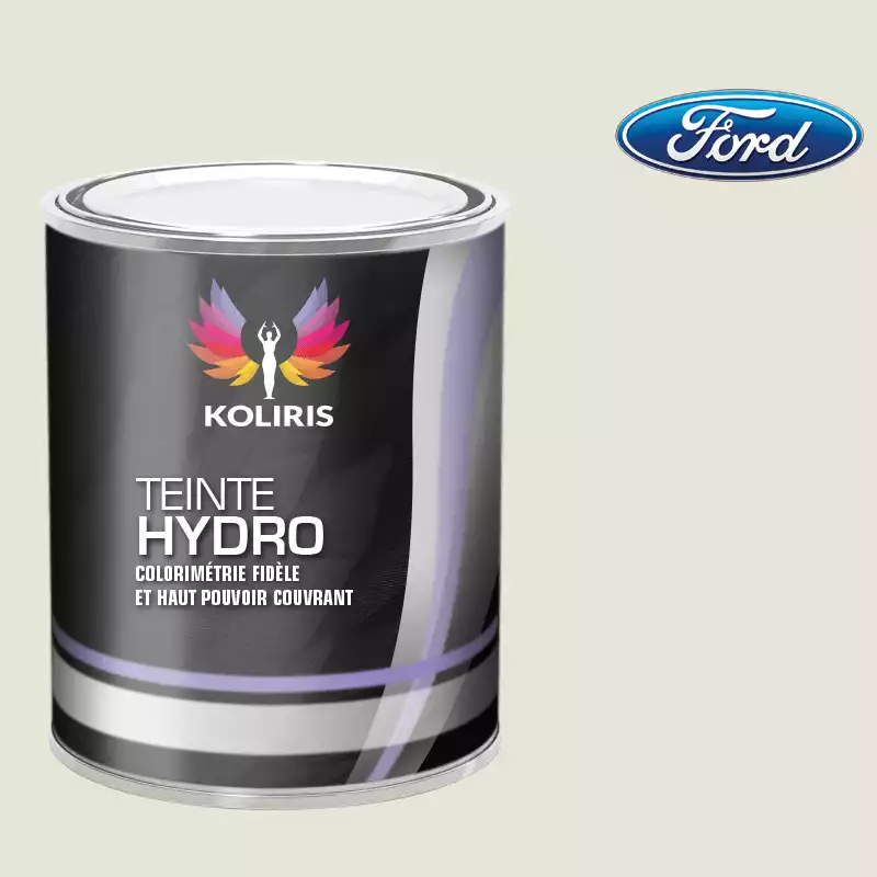 Peinture voiture hydro Ford